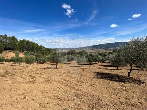 olx macedo de cavaleiros|29 Terrenos para venda em Macedo de Cavaleiros, Bragança